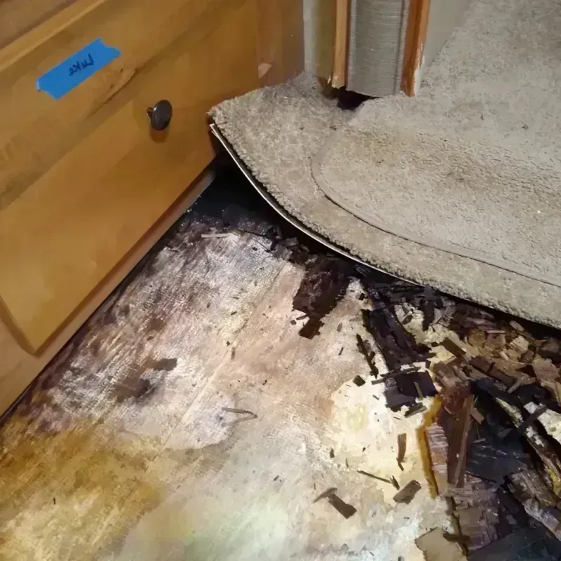 Wood Floor Water Damage in Cosmopolis, WA